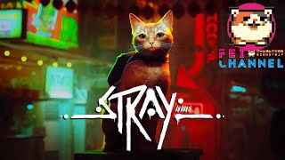 #1【ﾈｺﾁｬﾝどしたの～？↑】Stray 実況【サイバーパンク猫】