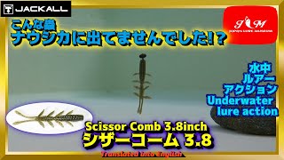 【水中動画】【Scissor Comb 3.8inch】多数の脚で水をかき混ぜ泳ぐ謎の生き物　ジャッカル　シザーコーム　しざーこーむ