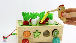 Toy Learning Video, Toddlers Colors Fruits & Vegetables Names, Educational Toys Play and Learn
