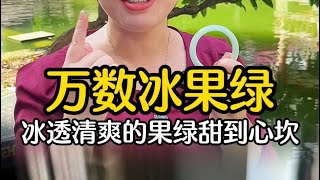 萬数冰果綠冰透清爽的果綠甜到心坎#翡翠 #翡翠手鐲 #翡翠手镯 #翡翠玉 #緬甸玉 #翡翠玉石 #緬甸翡翠 #缅甸翡翠 #天然翡翠#珠寶首飾