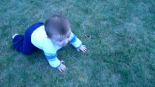 vince crawling around outside