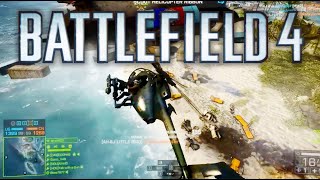 Remember when the little bird caused Havoc in BF4