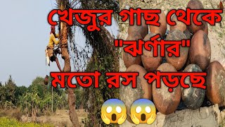 @voboghurecom খেজুর গাছ কাটার পদ্ধতি // khejur tree cutting method // khejurer juice