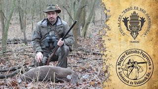 Hunting with a muzzleloading double rifle in Gyulaj