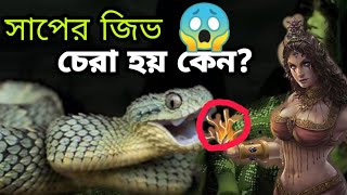 সাপেদের জিভ চেরা থাকে কেন?|garuda and snake fight|Why snake have forked tounge