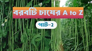 বরবটি চাষ পদ্ধতি. borboti chas .Cultivation method of long bean.