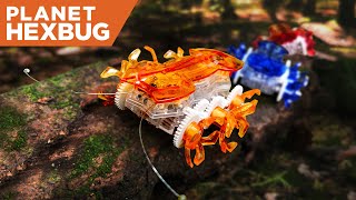 Planet HEXBUG - Episode 8: The Fire Ant