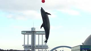 ハイジャンプ　アン　イルカパフォーマンス／名古屋港水族館