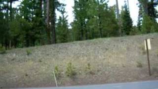 At ochoco Pass on May 13 east of Prineville, OR