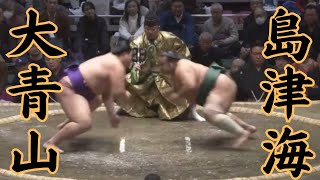 大青山VS島津海 令和7年1月場所2日目#sumo #相撲