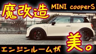 【ミニクーパー】愛車のMINIを紹介します。