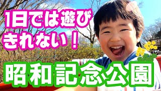 家族で行くなら有料エリアが絶対に楽しい昭和記念公園。（こもれびの里 → 日本庭園 → こどもの森）