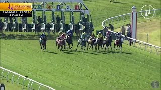 2022 Muniz Memorial Classic Stakes (GII) Race Replay