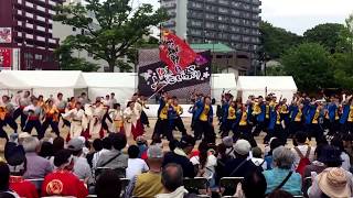 黒崎よさこい祭り 大分県連PR隊