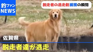 【釣りよか】捕獲の瞬間をカメラが捉えた‼︎脱走者の逃走劇【切り抜き】