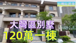 內地樓市調控加強，房價繼續下跌，大灣區別墅一套120萬，2021年更多小開發商會破產倒閉嗎【大灣區置業】