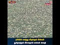 namakkal ஏரியில் செத்து மிதக்கும் ஆயிரக்கணக்கான fish துர்நாற்றத்தால் மக்கள் அவதி tamil news