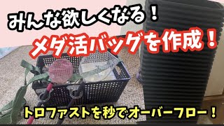 20個の容器のオーバーフロー加工を勢いでやっつけました。【メダカ】