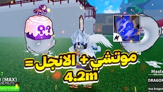 صيد بونتي في الموتشي مع صوت المكيف 💤💥| Blox fruits