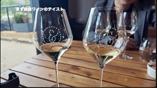 【🇦🇺ワーホリ×ワイン🍷】アデレードで人生初ワイナリーへ！豪州最古の歴史を持つマクラーレンベールへ行くの巻 Adelaide Vol.23