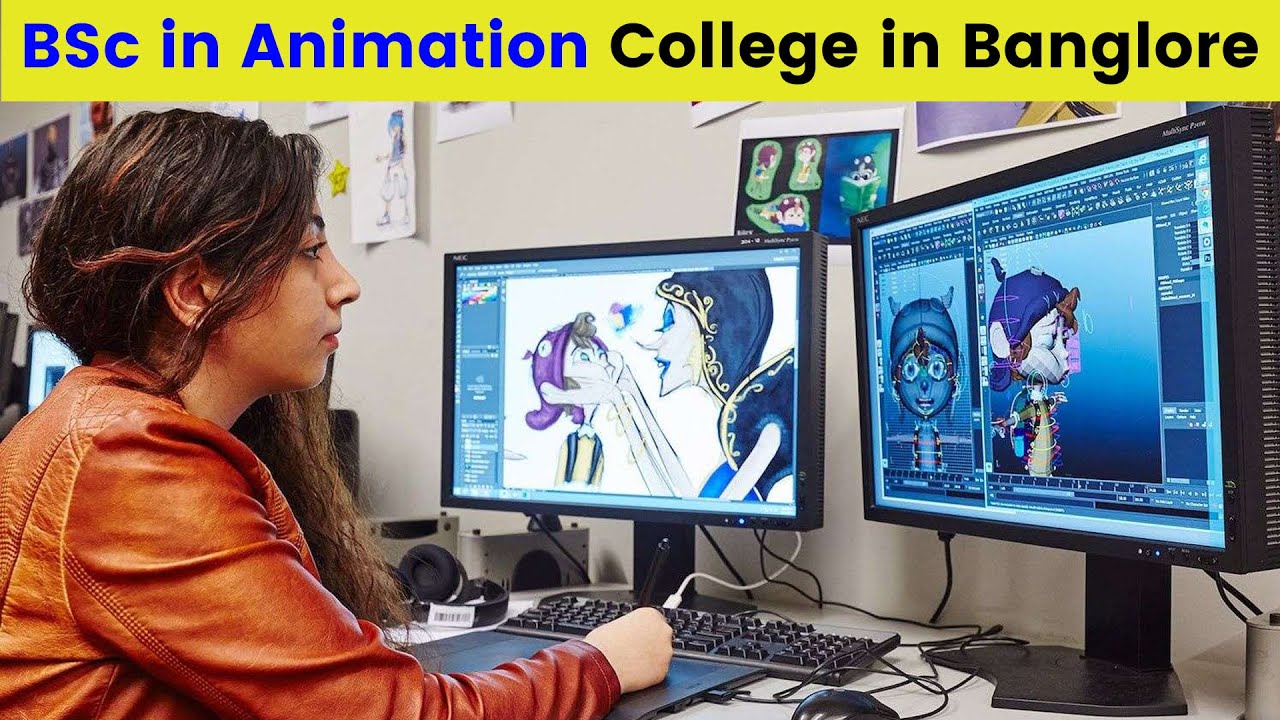 BSc In Animation & Multimedia College In Banglore👍🎖 Degree In Animation ...