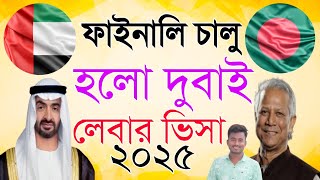 দুবাই লেবার ভিসা ফাইনালি চালু হলো ২০২৫ | দুবাই ভিসা | Dubai Visa Update 2025 | Desh Probash Vision