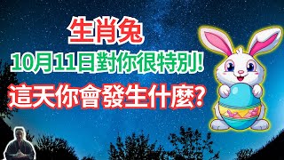 生肖兔，命理推算：11日重陽節是你的大日子，這天吉星高照，會很特別！這個驚喜對你意味什麼？ #2024年生肖兔運勢 #2024年生肖兔運程 #2024年屬兔運勢 #屬兔運程