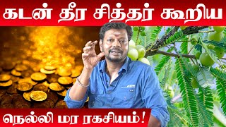 Kadan Theera Pariharam in Tamil | நெல்லி மரம் வாஸ்து | Ketta Sakthi Vilaga | Siththarkal Manthiram