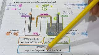 เซลล์กัลวานิก (Part I)