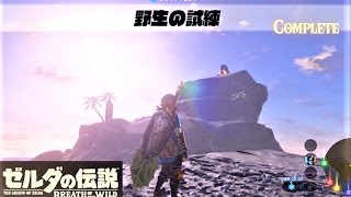 【野生の試練 : ほこらチャレンジ　サイハテノ島】 攻略 ゼルダの伝説 ブレスオブザワイルド  \