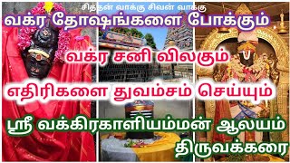 திருவக்கரை ஸ்ரீ வக்கிரகாளியம்மன் /சந்திரமவுலீஸ்வரர் /வரதராஜ பெருமாள் ஆலய தரிசனம் @Tamildynasty