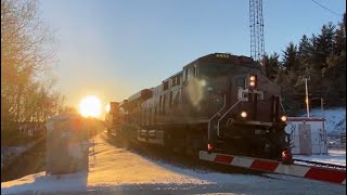 FLYING! CP 8900 intermodal train at Palgrave (DEC 19, 2021)