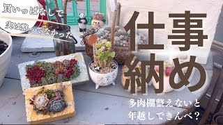 【2024仕事納め】ハウスにある多肉棚を整えて新年迎えるぞ！#succulent #多肉生産者 #寄せ植え　#多肉棚 #仕事納め