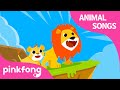 Pelajaran Singa | Lagu Binatang | Pelajari Hewan | Lagu Hewan Pinkfong untuk Anak