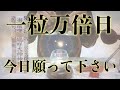 【※今見たら必ず大大大開運!!】一粒万倍日の今日絶対見てください 強力に幸運を引き寄せる奇跡のソルフェジオ周波数 アファメーション 良縁金運仕事家庭円満健康運アップ 即効性