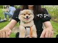 견생 최초 한복 대회에 참가했어요 추석 vlog