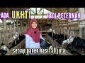 WANITA MUDA SUKSES TERNAK KAMBING SETIAP JUAL UNTUNG 50 JUTA