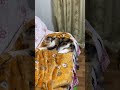 集中してふみふみする猫を見ていたら嫌そうな顔をされた