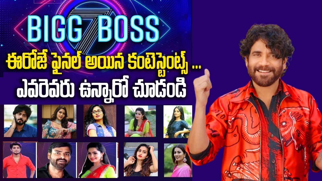 Bigg Boss 7 Telugu Final Contestants List || BB7 Telugu Contestants ...