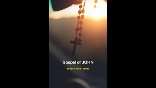 யோவான் நற்செய்தி ஏன் எழுதப்பட்டது ? | Gosepl of John - an Introduction | சேவியர் | சார்லஸ் | சஞ்சே