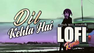 Dil Kehta Hain ❤️ Lofi- Remix QMS  #Lofi Song || Hindi Love Song