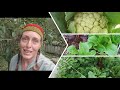 the secret to amazing vegetables starts with soil howto soil waterwise