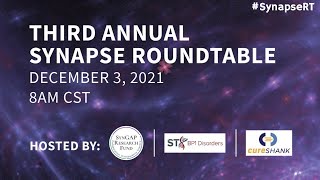 3rd Annual Synapse Roundtable - Full Presentation