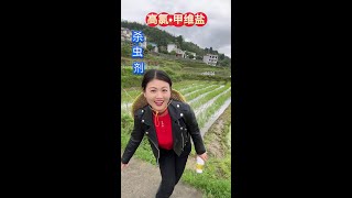 #高氯甲维盐 #病虫害防治 #助力三农