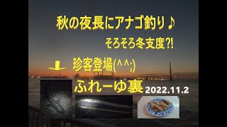 ふれーゆ裏の釣り part 6 2022.11.2 秋の夜長にアナゴ釣り♪