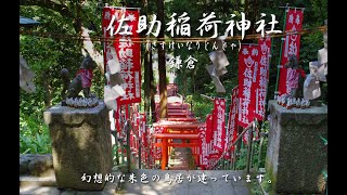 佐助稲荷神社（さすけいなりじんじゃ）源頼朝の夢枕に立ち平家挙兵を促したと言われる稲荷