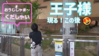 ふうひ～ん、優しいコール、楓浜お気に入り飼育員さん登場にご機嫌爆食、「え、もう帰るの？うれちい！」