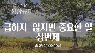 (성장큐티) 급하지 않지만 중요한 일 상번제 (출 29:38-46)