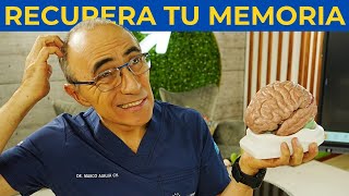 Recuérdalo: El Mejor Alimento para tu Cerebro 🧠✨