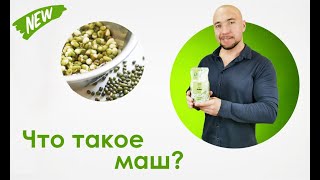 Что такое Маш?